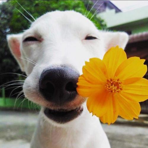 สมาชิกหมายเลข 4297068