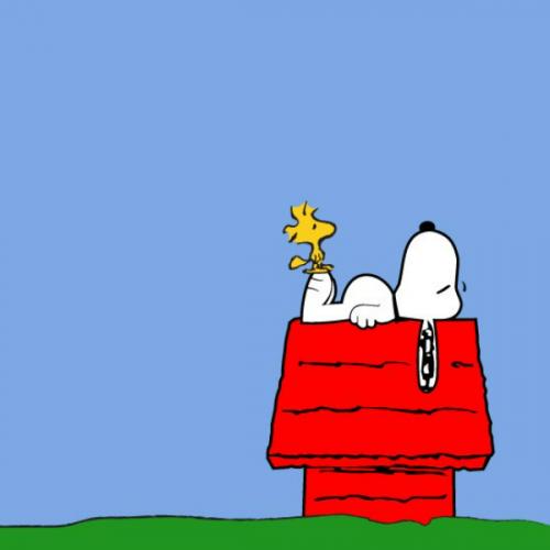 สมาชิกหมายเลข 6739975