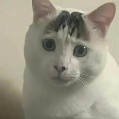 สมาชิกหมายเลข 7485903