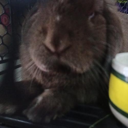 สมาชิกหมายเลข 7502960