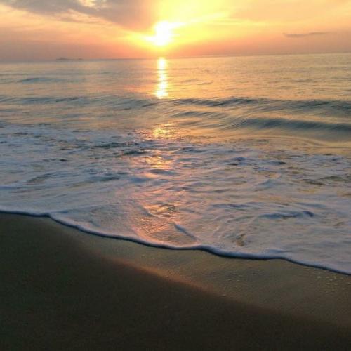 สมาชิกหมายเลข 3947761