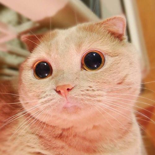 สมาชิกหมายเลข 3956921