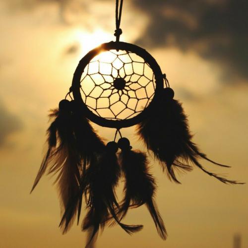 สมาชิกหมายเลข 4778936