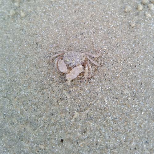 สมาชิกหมายเลข 4875901