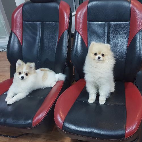 สมาชิกหมายเลข 5156648