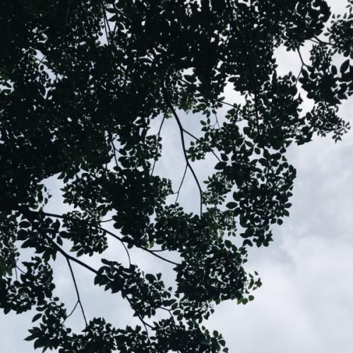 สมาชิกหมายเลข 5309119