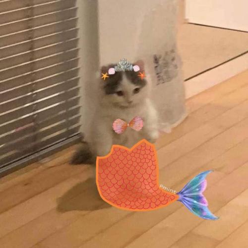 สมาชิกหมายเลข 6115683