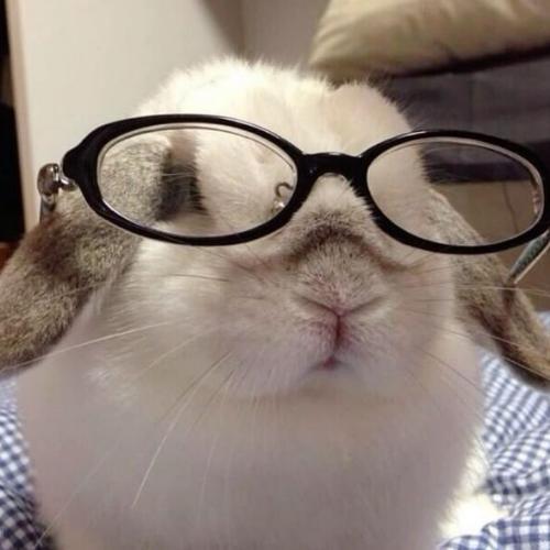 สมาชิกหมายเลข 8408563