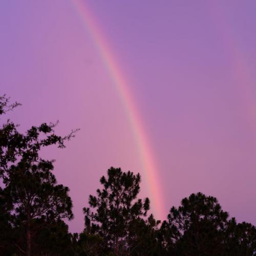 สมาชิกหมายเลข 8408872