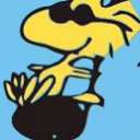 สมาชิกหมายเลข 5156960