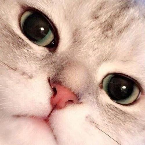 สมาชิกหมายเลข 5559129