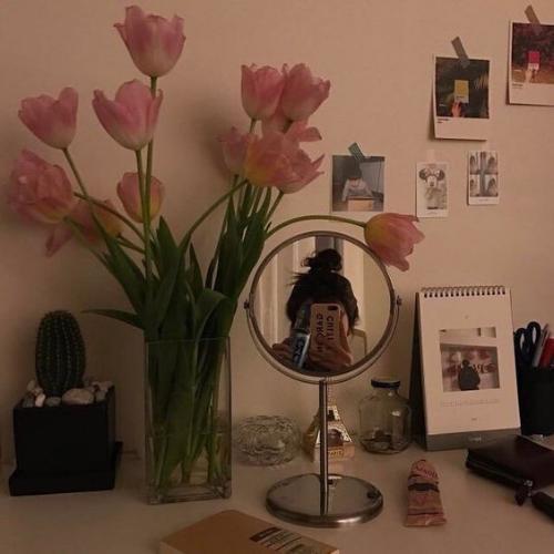 สมาชิกหมายเลข 5559169