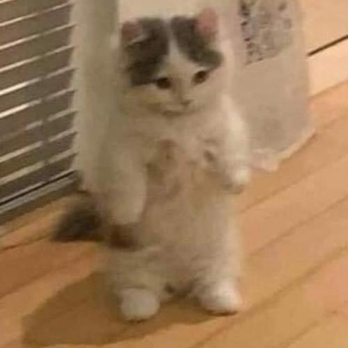 สมาชิกหมายเลข 3549401