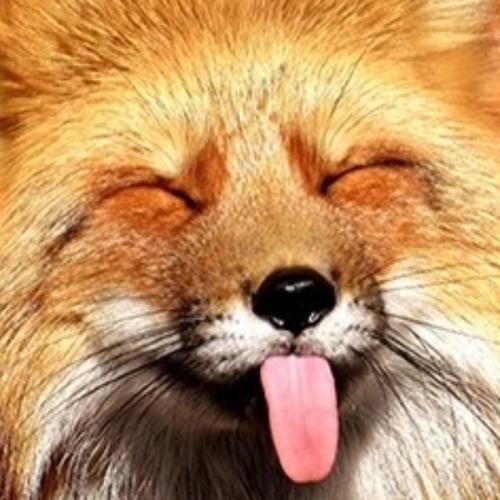 สมาชิกหมายเลข 6740825