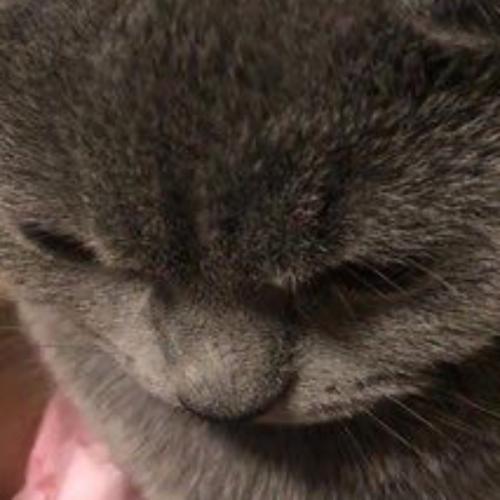 สมาชิกหมายเลข 7504760