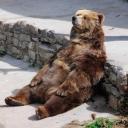 สมาชิกหมายเลข 1057304