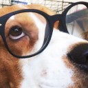 สมาชิกหมายเลข 3956687