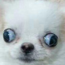 สมาชิกหมายเลข 3883712