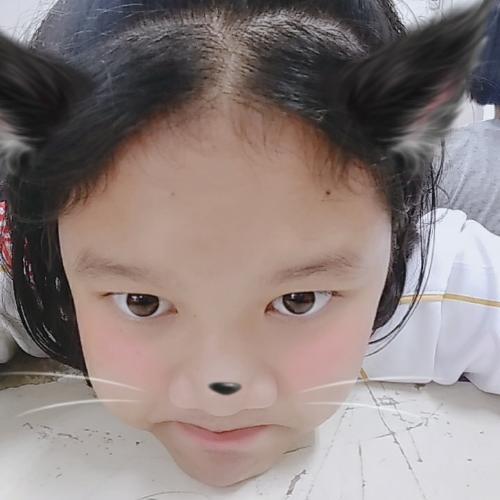 สมาชิกหมายเลข 4779805