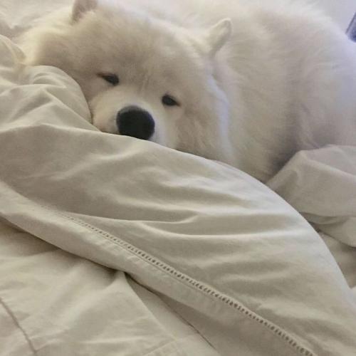 สมาชิกหมายเลข 5113834