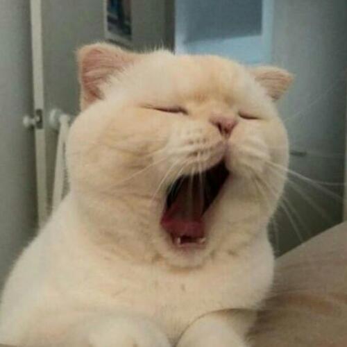 สมาชิกหมายเลข 5157289