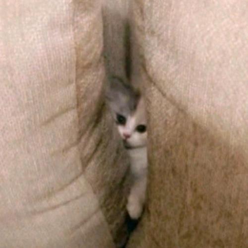 สมาชิกหมายเลข 5113000