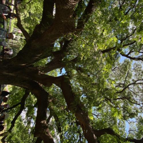 สมาชิกหมายเลข 5892926