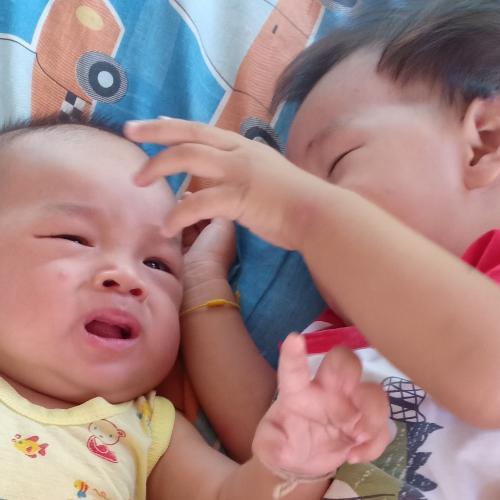 สมาชิกหมายเลข 6116355