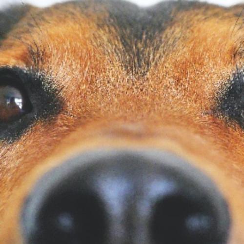 สมาชิกหมายเลข 5804252