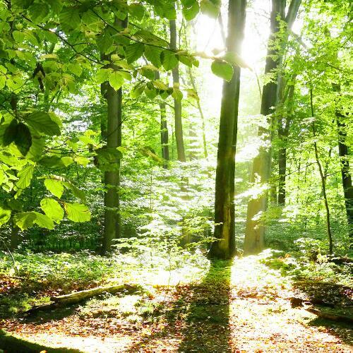 สมาชิกหมายเลข 3084146