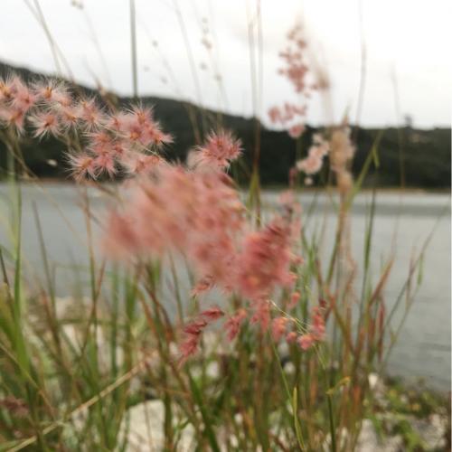 สมาชิกหมายเลข 4489288