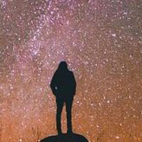 สมาชิกหมายเลข 2624582