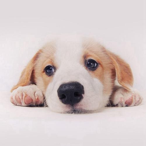 สมาชิกหมายเลข 4266365