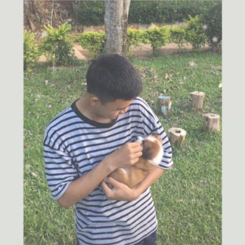 สมาชิกหมายเลข 4861320