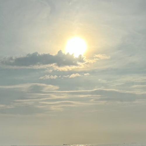 สมาชิกหมายเลข 7365926