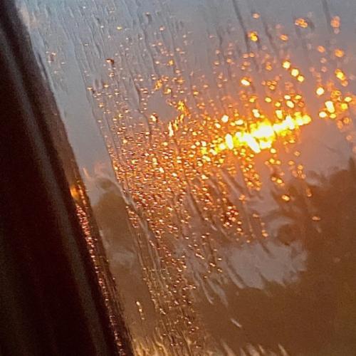 สมาชิกหมายเลข 8165809