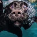 สมาชิกหมายเลข 2615824