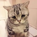 สมาชิกหมายเลข 3143498