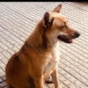 สมาชิกหมายเลข 4435191