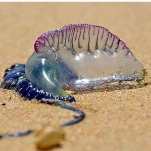 สมาชิกหมายเลข 2833743