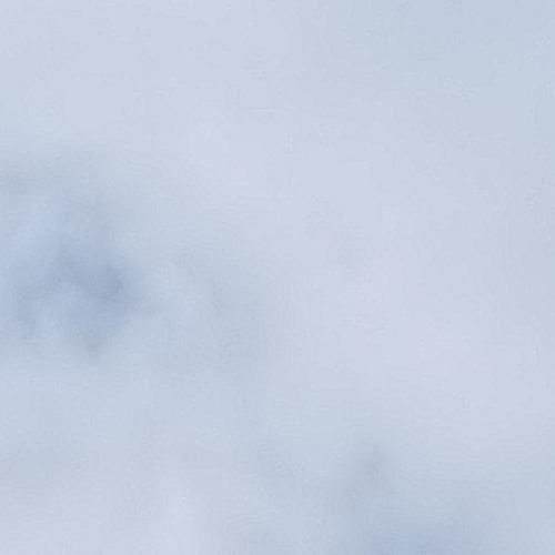 สมาชิกหมายเลข 2109815