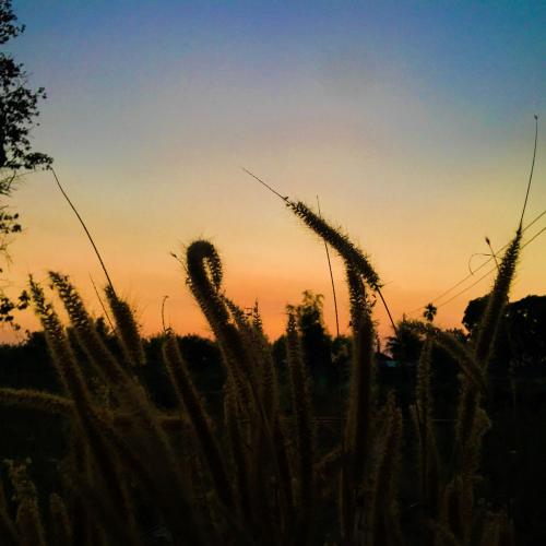 สมาชิกหมายเลข 5059202