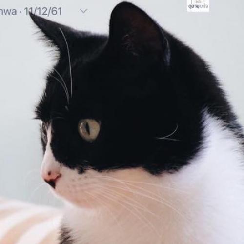 สมาชิกหมายเลข 5157953