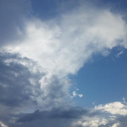 สมาชิกหมายเลข 4994352