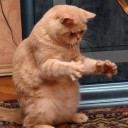 สมาชิกหมายเลข 5560840