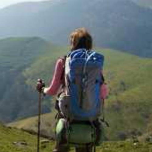 สมาชิกหมายเลข 6117733