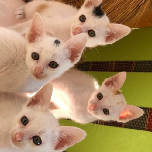 สมาชิกหมายเลข 6117802