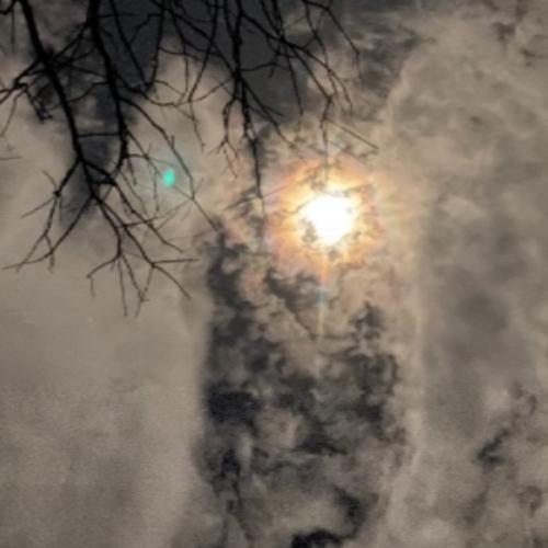 สมาชิกหมายเลข 2658343