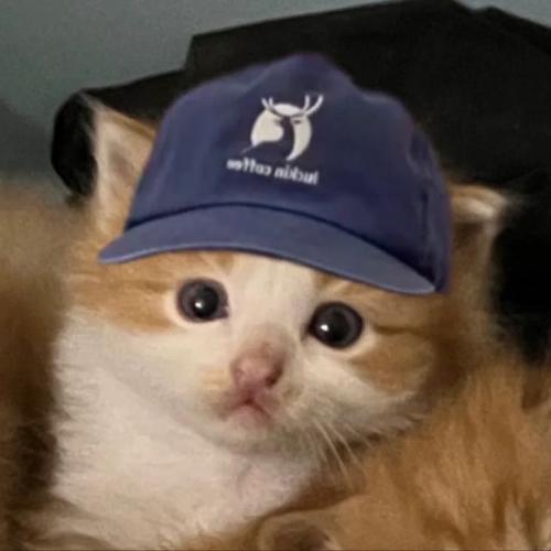 สมาชิกหมายเลข 8412719