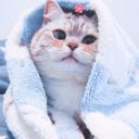 สมาชิกหมายเลข 3959047